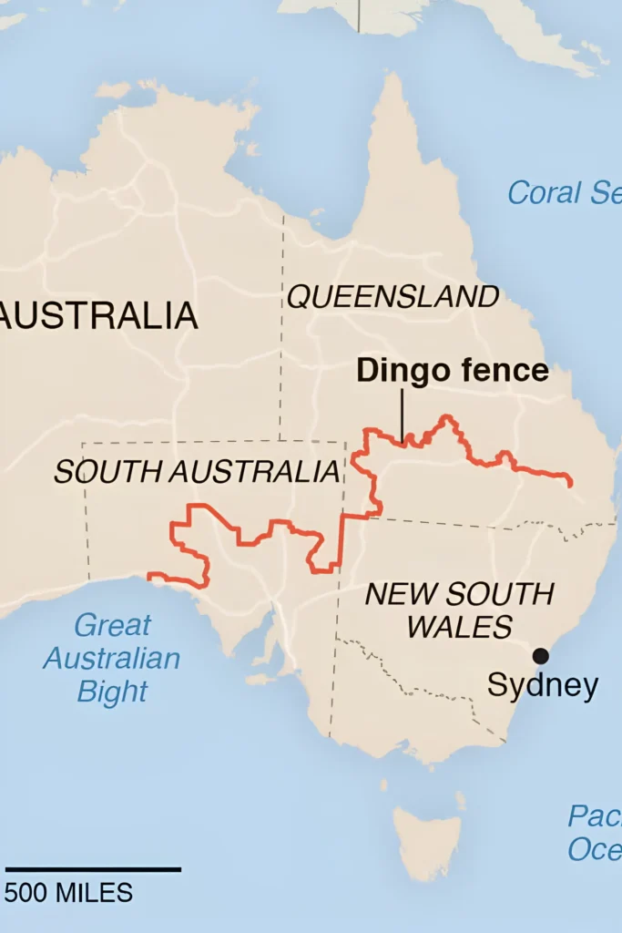 Dingo Fence Australia - Image 1