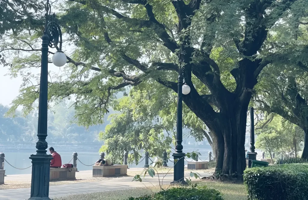 Rabindra Sarobar (Dhakuria Lake) - Image 1