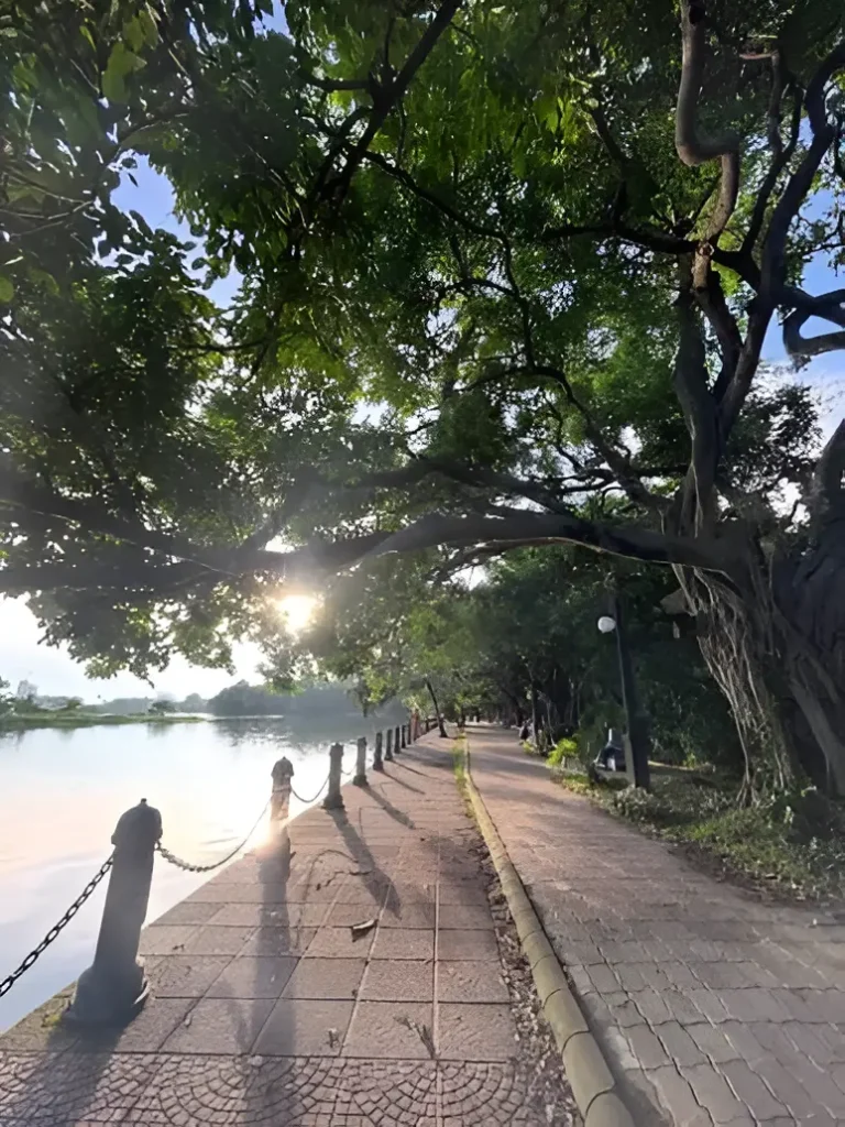 Rabindra Sarobar (Dhakuria Lake) - Image 2