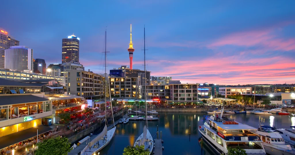 New Zealand City View