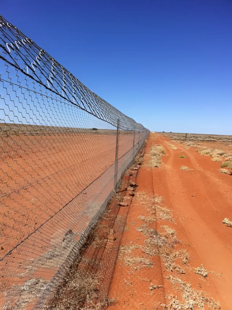 Dingo Fence Australia - Image 2