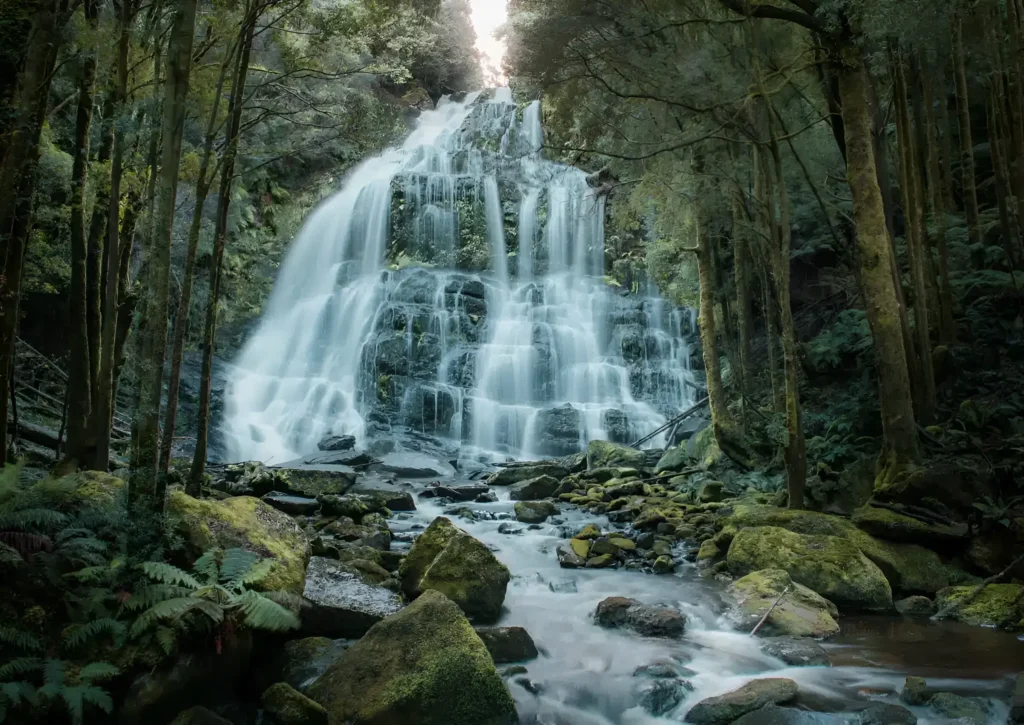 Tasmania Landscapes - Image 3