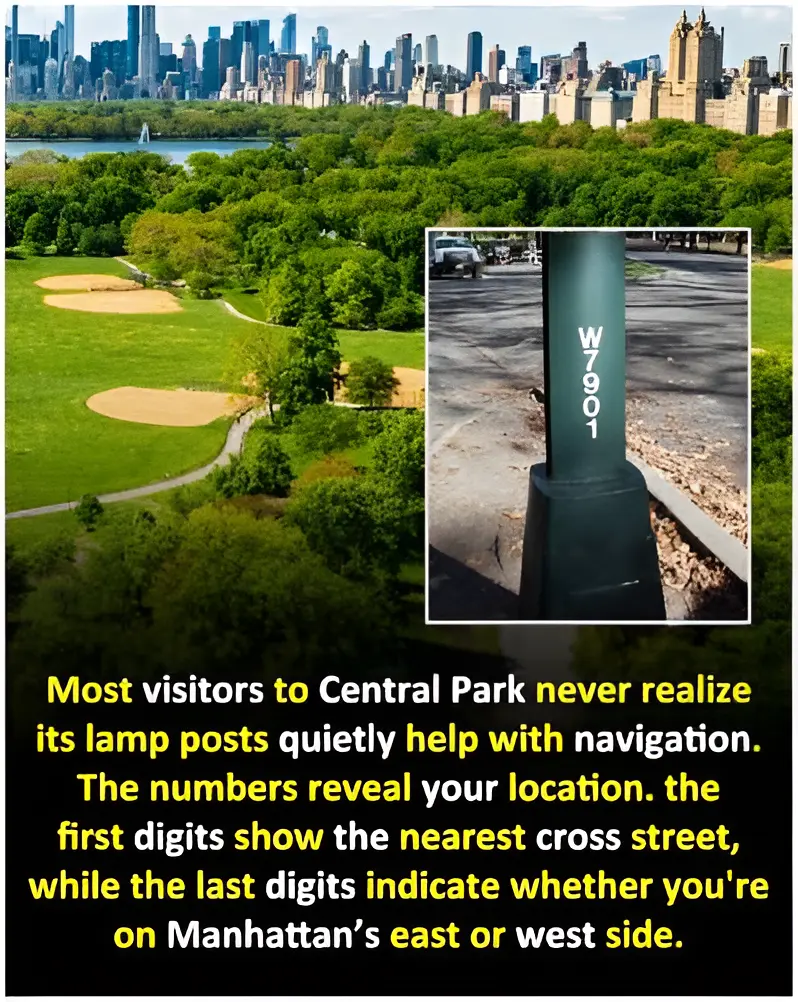 Central Park’s Lampposts Hold a Secret Navigation Code