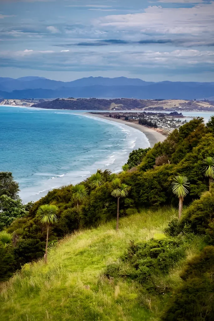 Ōhope Beach, Bay of Plenty - Image 2