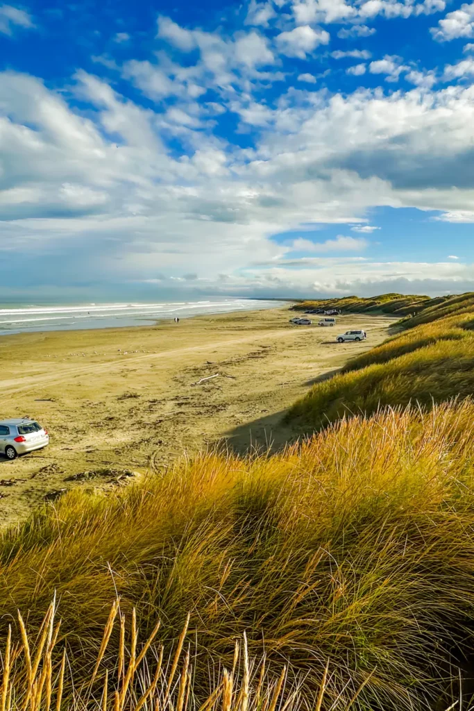 Oreti Beach, Southland - Image 2