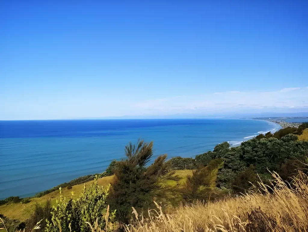 Ōhope Beach, Bay of Plenty - Image 3